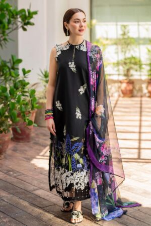 asifa & nabeel (28 feb) (2)